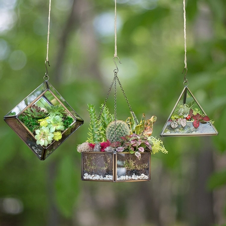 glass-terrarium-hanging-indoor-garden