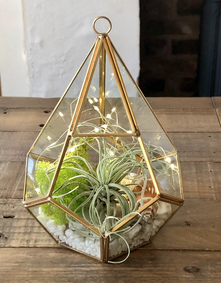 gold-geometric-hexagon-glass-terrarium-with-air-plants