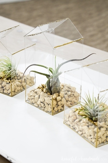 DIY Air Plant Hangers - Homey Oh My