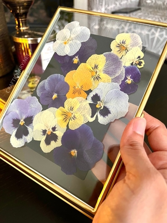 how-to-frame-pressed-flowers