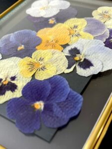 how-to-make-pressed-flowers-frames-diy