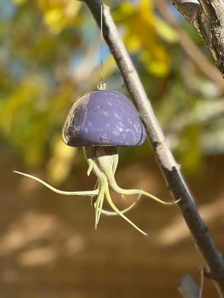 jellyfish-air-plant-hanging-idea