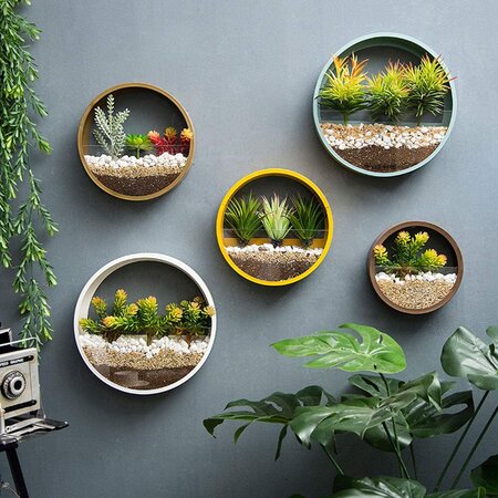 modern-wall-planters-wall-vase-air-plants