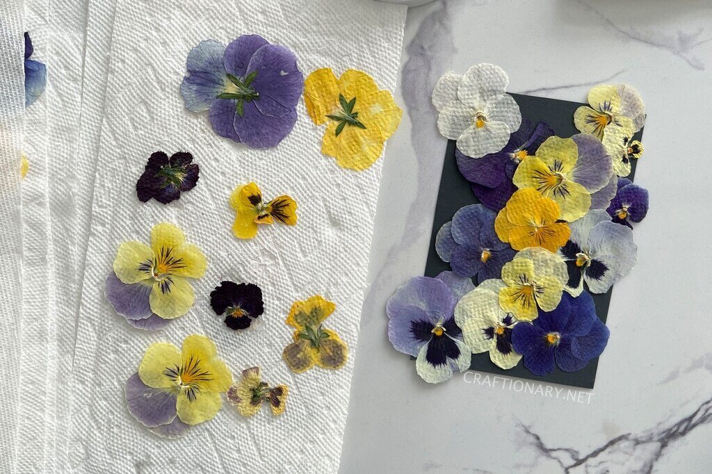 pressed-flowers-dried-flowers-how-to