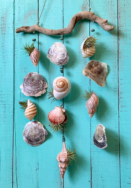 seashells-hanging-air-plant-holder