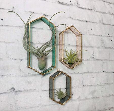 stained-glass-airplant-display