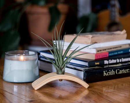 u-bend-plant-holder-on-the-table