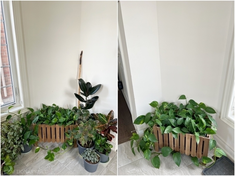 before-entryway-decor-idea-using-plants