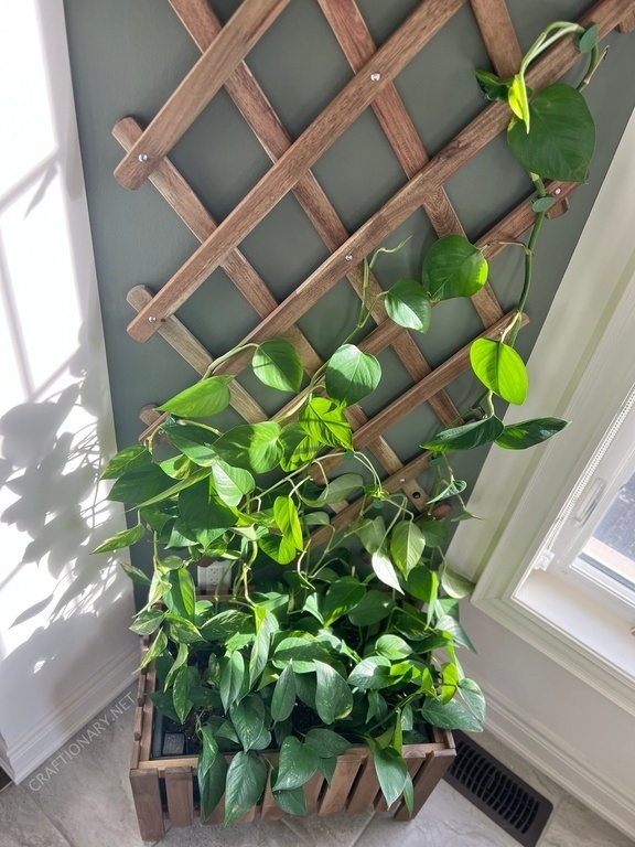 diy-planter-box-with-wooden-trellis-for-indoor-plants