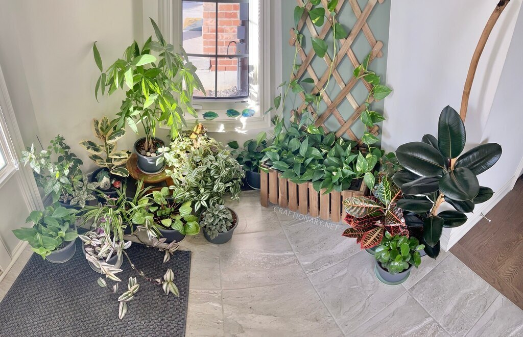 home-decor-idea-with-plants-indoor