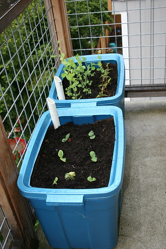 1miniature-raised-garden-diy-for-small-space