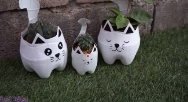 cat pots