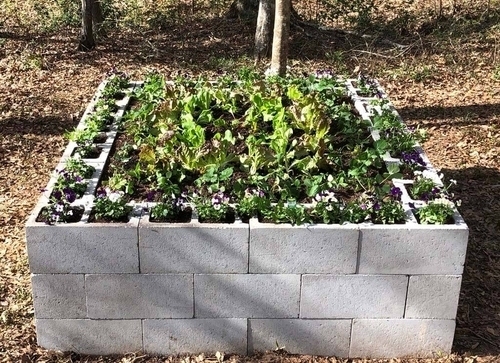 How to Make a Raised Bed Garden with Cinder Blocks - An Artful Mom