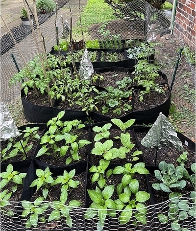 fabricraisedgardenbeds