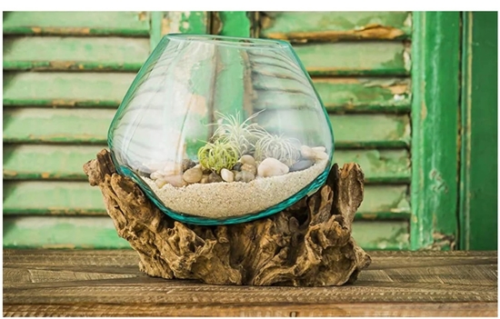 Molted Glass With Wooden Natural, Wooden Glass Decoration, Fish