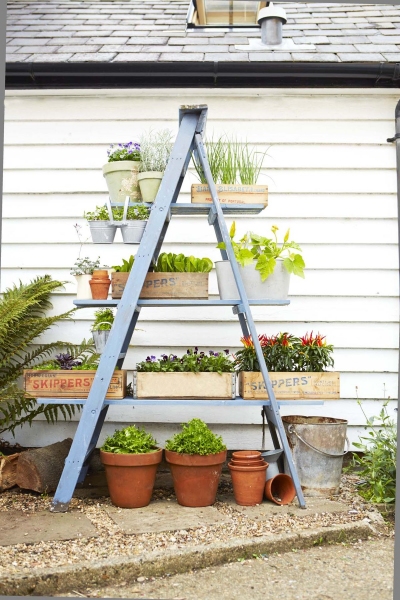ladder-planter