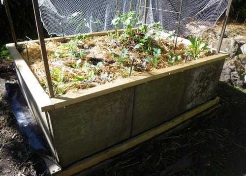 makeconcretemixraisedbed