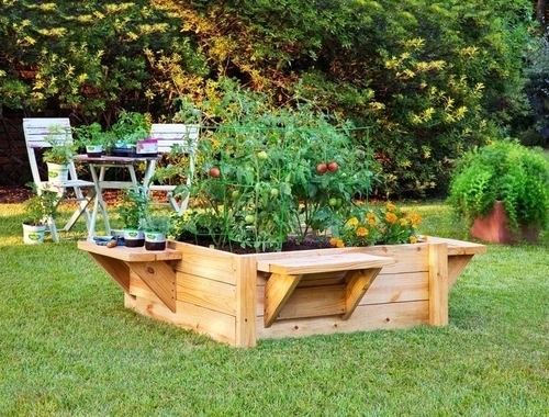 raised-bed-with-benches-5768790