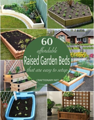 60 Affordable Raised Garden Bed Ideas that are Easy to Setup