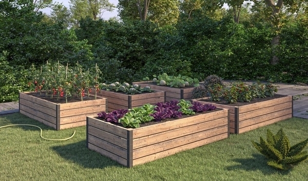 rectangleraisedgardenbedplans