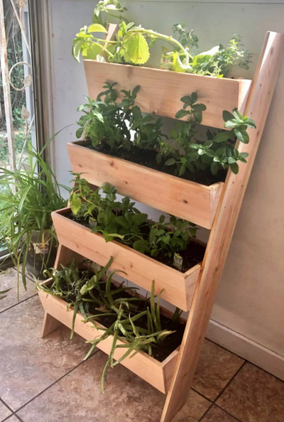 sustainableverticallivingwallcedarplanterboxladder