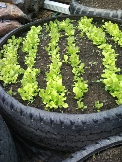 used-tire-raised-garden-bed