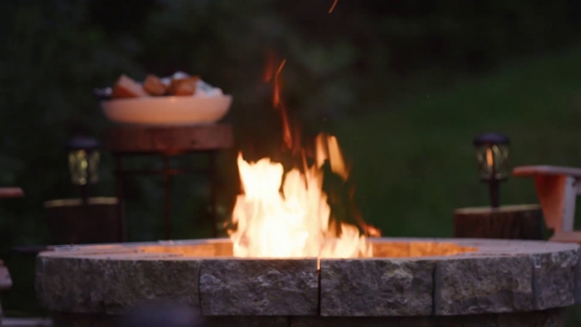 wood log table