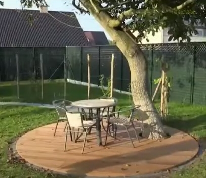 Building A Wooden Deck Around tree