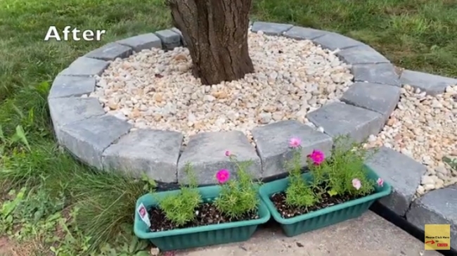 Landscaping around a Tree