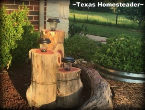 cedar-log-solar-light