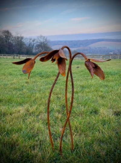 exterior-rustic-rusty-metal-snowdrops