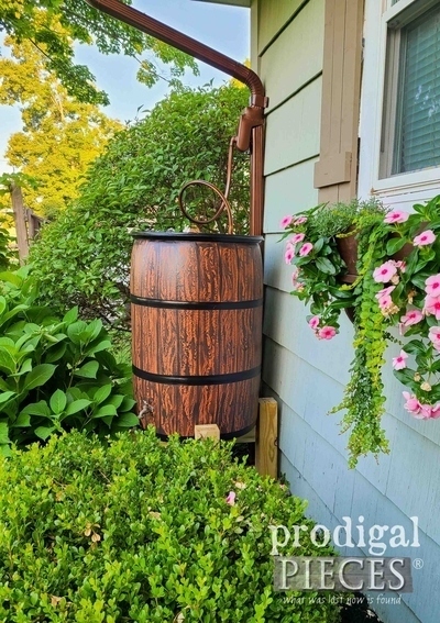 garden-diy-rain-barrel