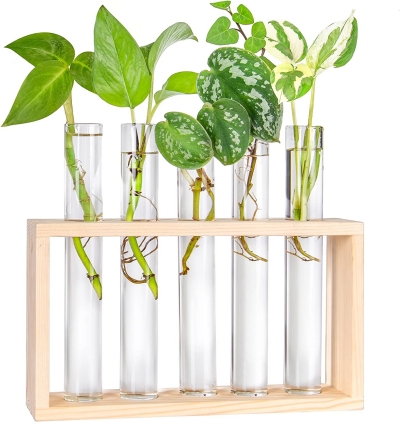 Flower Bud Vase Modern Test Terrarium Tube Flower for Entryway