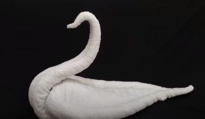 How to Make Towel Swan...