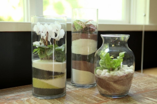 how-to-make-a-sand-art-terrarium-pictures