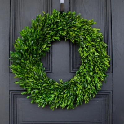 natural-preserved-green-boxwood-everyday