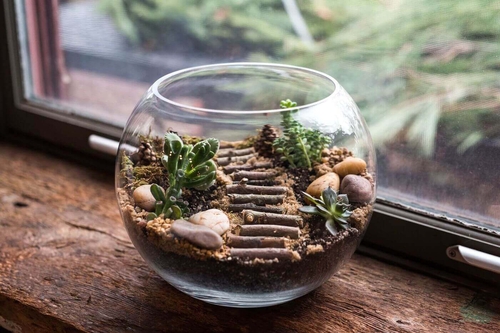 terrarium-with-stairs-and-park-setup-in-a-bowl