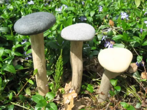 Beach Stone and Driftwood MUSHROOM