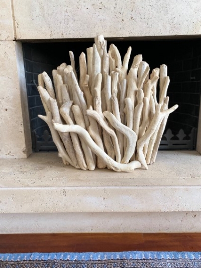 Driftwood Coral Sculpture Decor