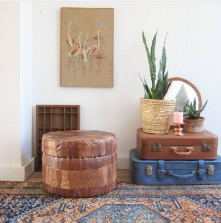 Plants on Old Suitcase