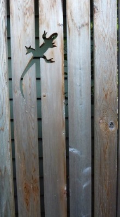 Adorable Lizard Cut on the Fence