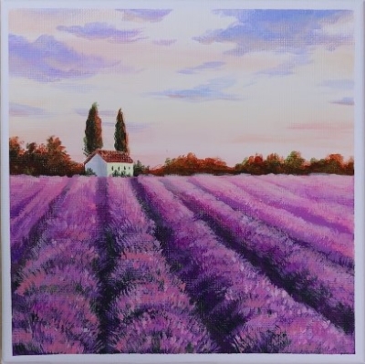 Lavender Fields