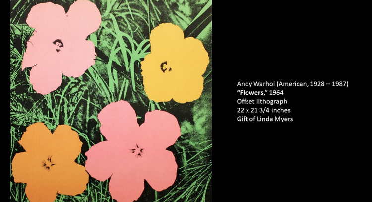 andy-warhol-paintings-of-flower
