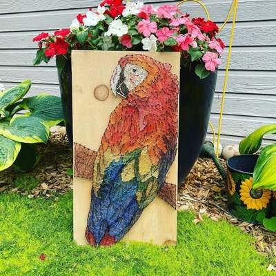 macaw-string-art