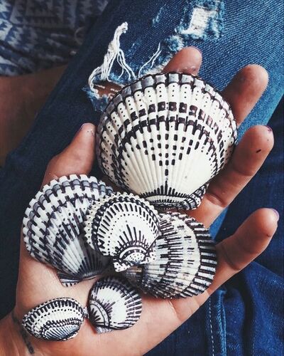 Beautiful-Patterns-on-Shells-With-Sharpie