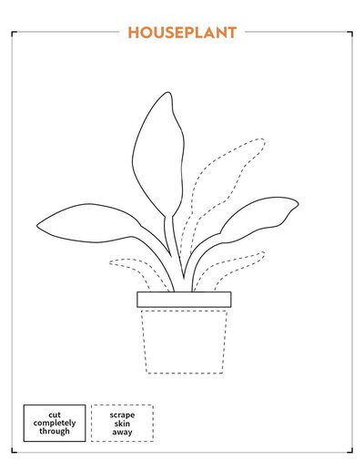 Houseplant-pumpkin-printable-template-pattern