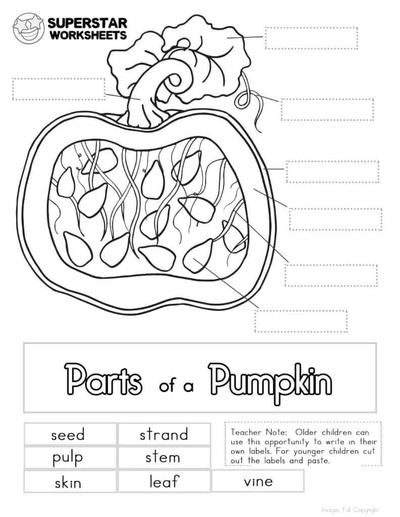 Label-parts-of-a-pumpkin