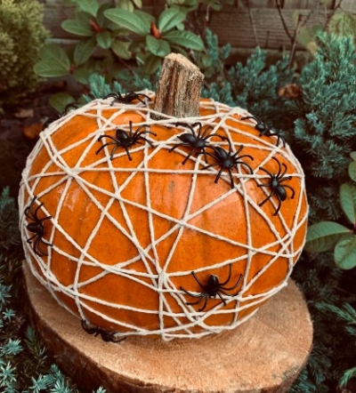 No carve pumpkin ft spiders