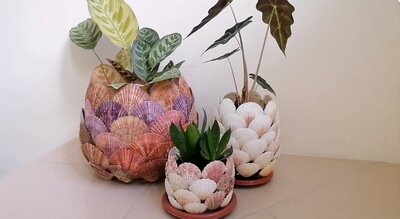 Seashell-Flower-Pot