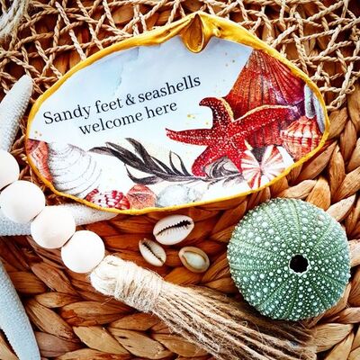 Seashell-With-a-Message